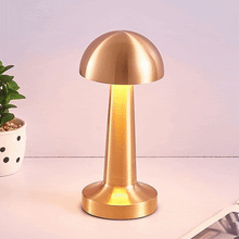 LED Lamp with Touch Control | Decorative Desk Lamp, Portable Metal LED Table Lamp